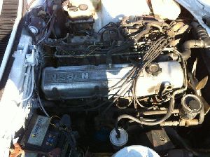 74_1186223_581799355216553_1654400000_n