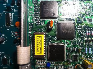 87_chip_Sascha